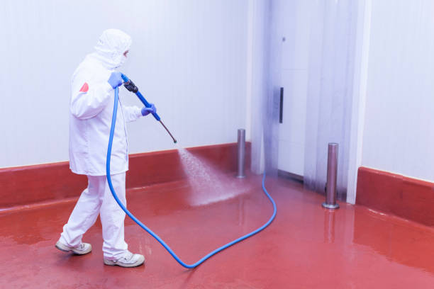 Best Patio and Deck Pressure Washing  in St Augustine Beach, FL