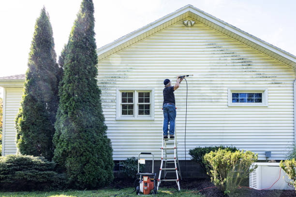 Best Solar Panel Cleaning  in St Augustine Beach, FL